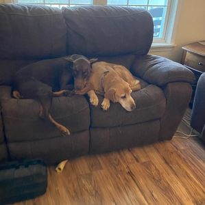 Meet your Posher, Thomas